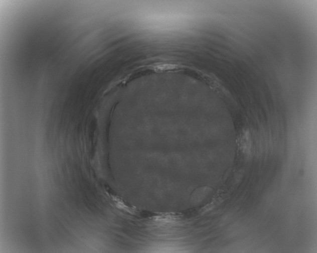 X0000066930763200604071846