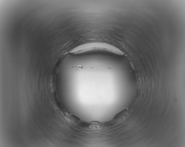 X0000066930764200604071846