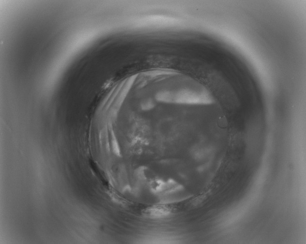 X0000066930765200604071846