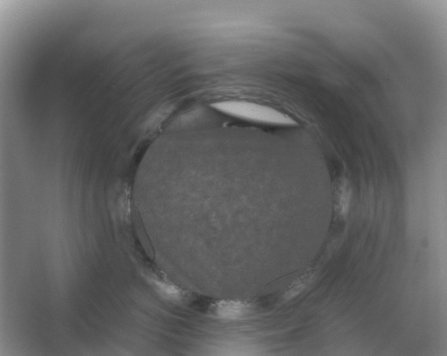 X0000066930766200604071846