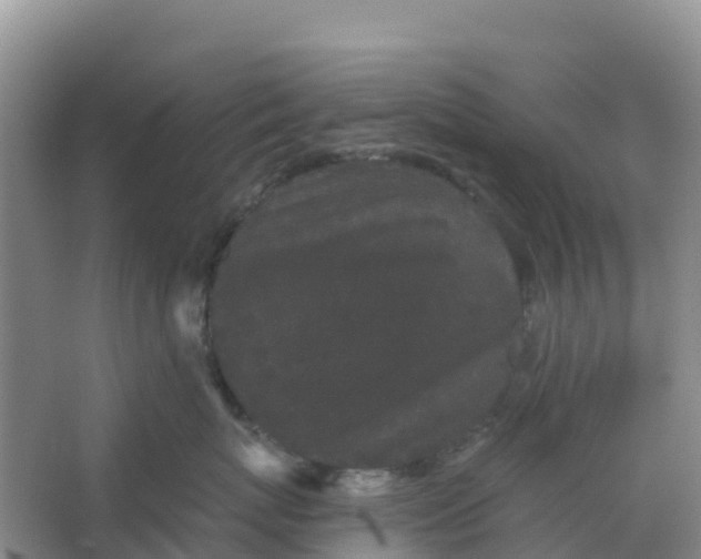 X0000066930767200604071846