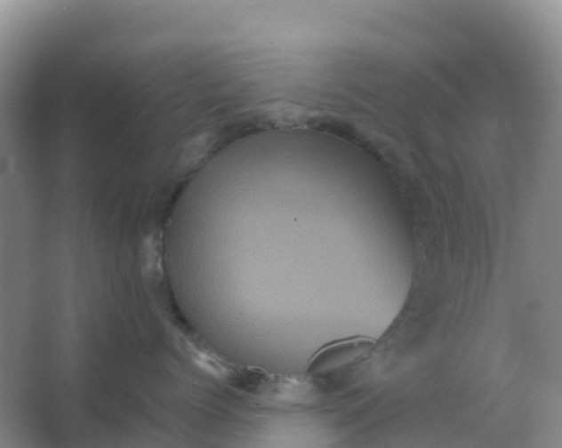 X0000066930768200604071846