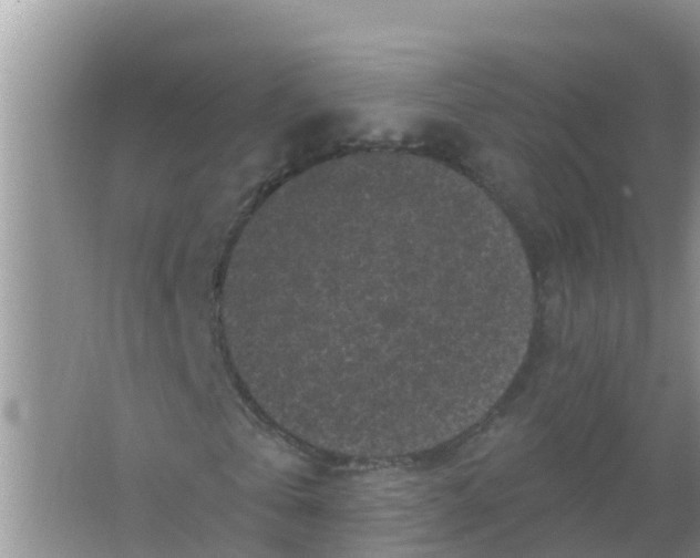 X0000066930769200604071845