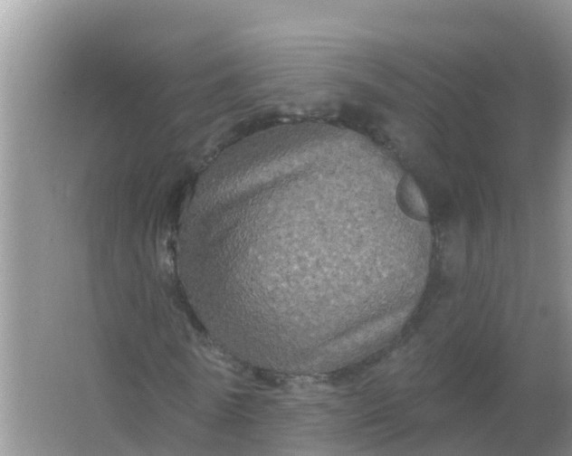 X0000066930770200604071845