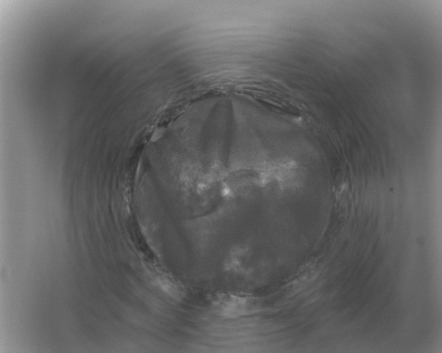 X0000066930772200604071845