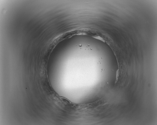 X0000066930773200604071845