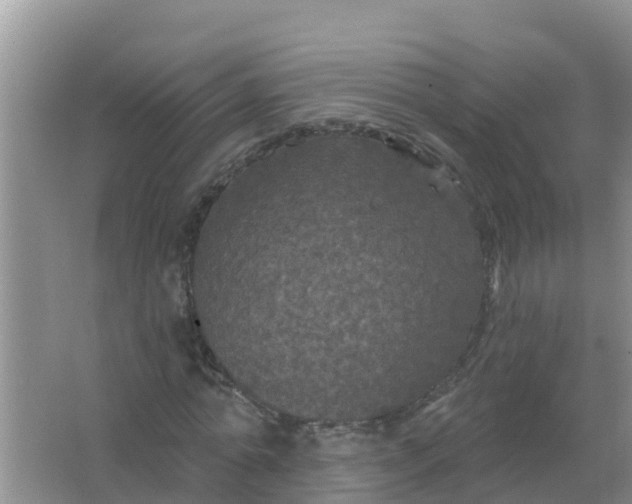 X0000066930774200604071845