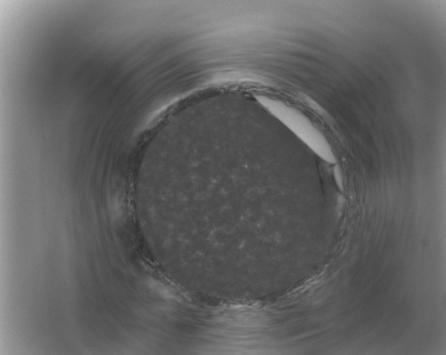 X0000066930775200604071845