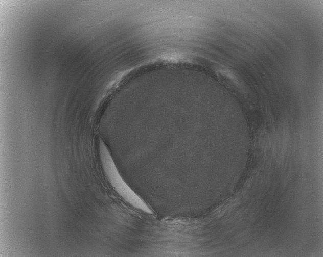 X0000066930776200604071845