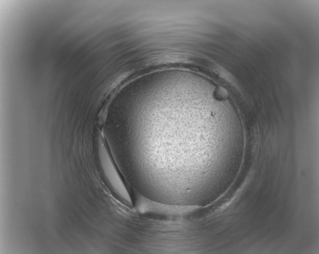 X0000066930777200604071845