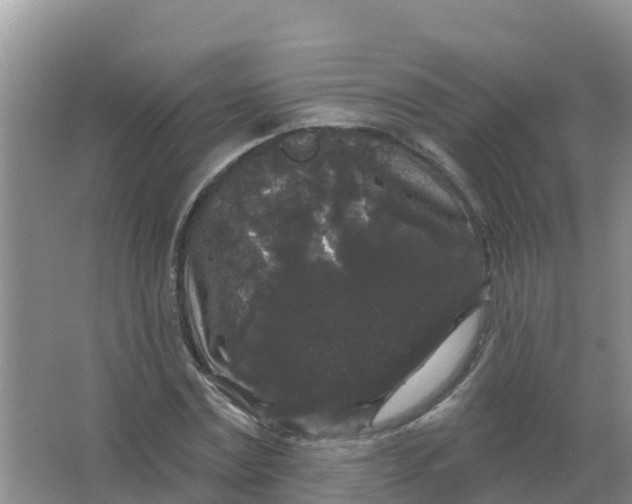 X0000066930779200604071845