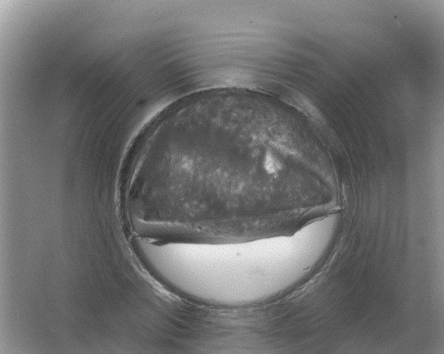 X0000066930780200604071845