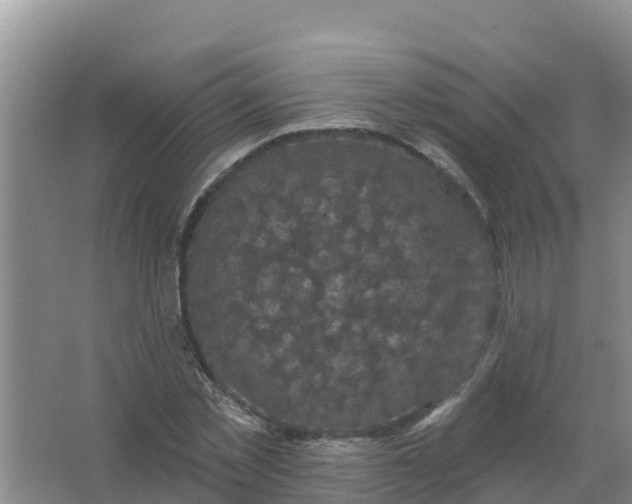 X0000066930781200604071845