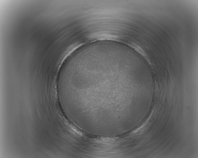 X0000066930782200604071845