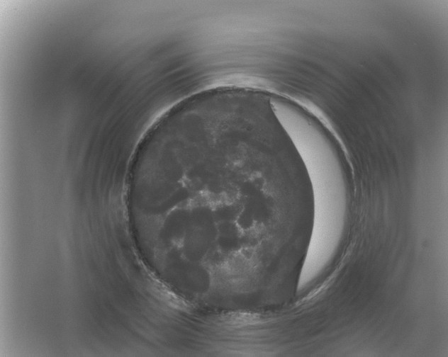 X0000066930783200604071845