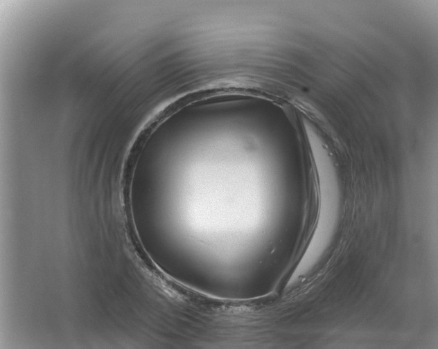 X0000066930784200604071845