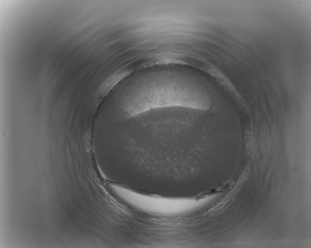 X0000066930785200604071845