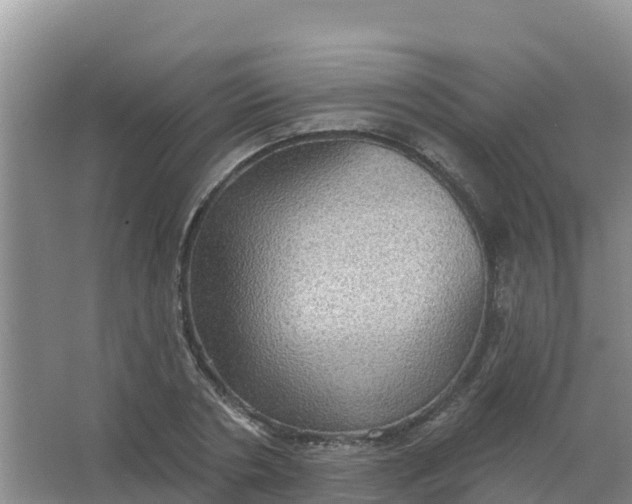 X0000066930786200604071845