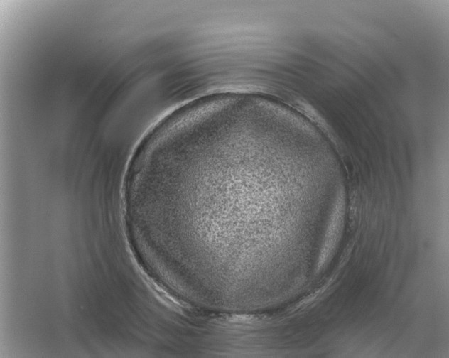 X0000066930787200604071845