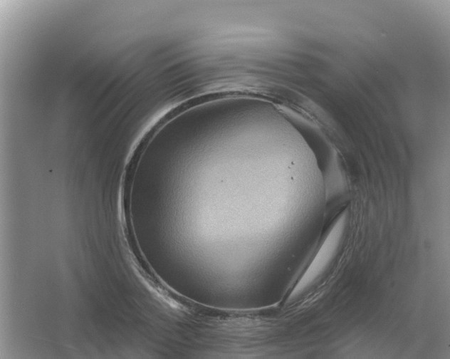 X0000066930788200604071845