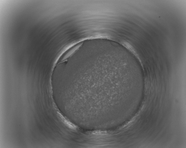 X0000066930789200604071845