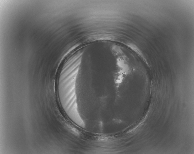 X0000066930790200604071845