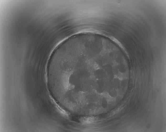 X0000066930791200604071845