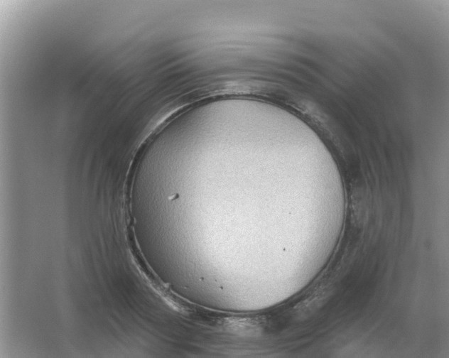 X0000066930794200604071845