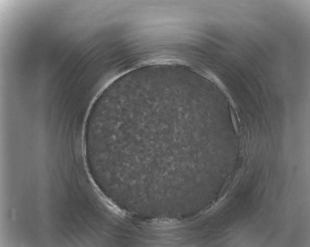 X0000066930795200604071845