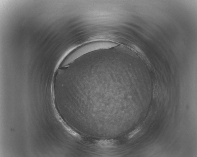 X0000066930796200604071845