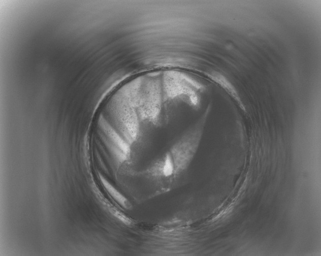 X0000066930798200604071845