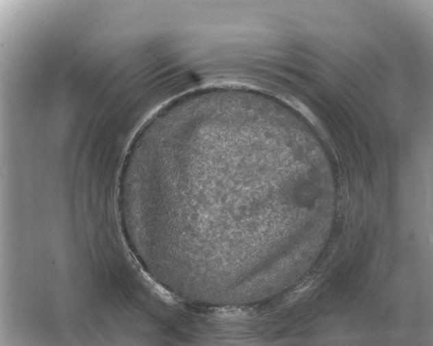 X0000066930799200604071845