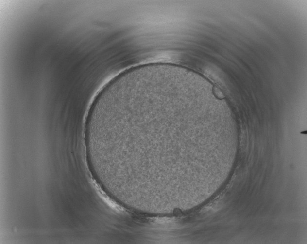 X0000066930800200604071845