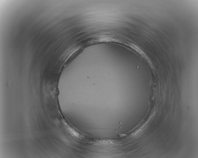 X0000066930801200604071845