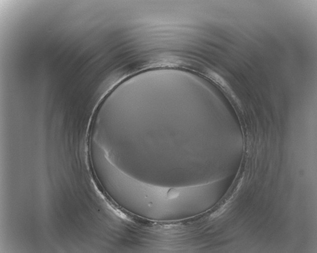 X0000066930802200604071845