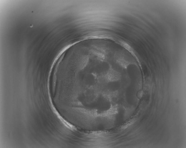 X0000066930803200604071845