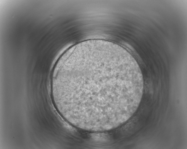 X0000066930804200604071845