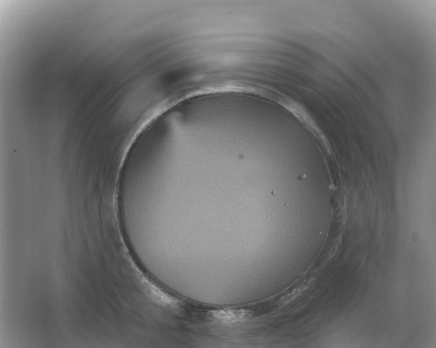 X0000066930805200604071845