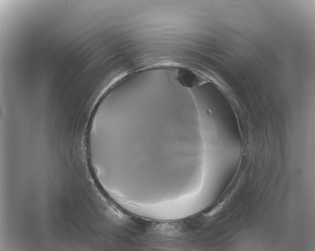 X0000066930806200604071845