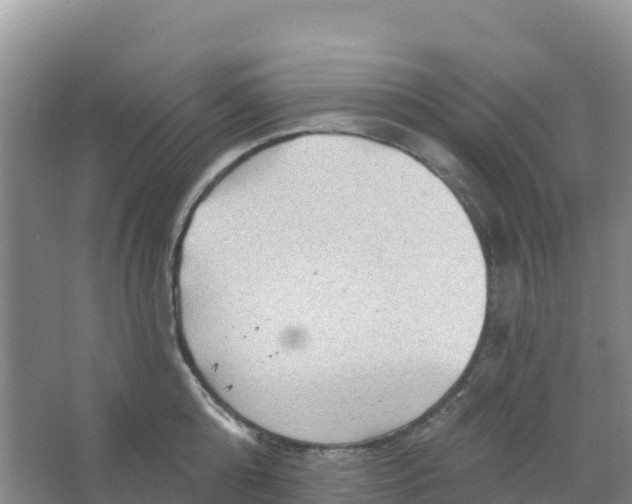 X0000066930808200604071845