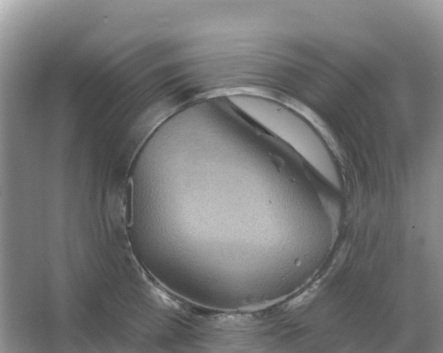 X0000066930809200604071845