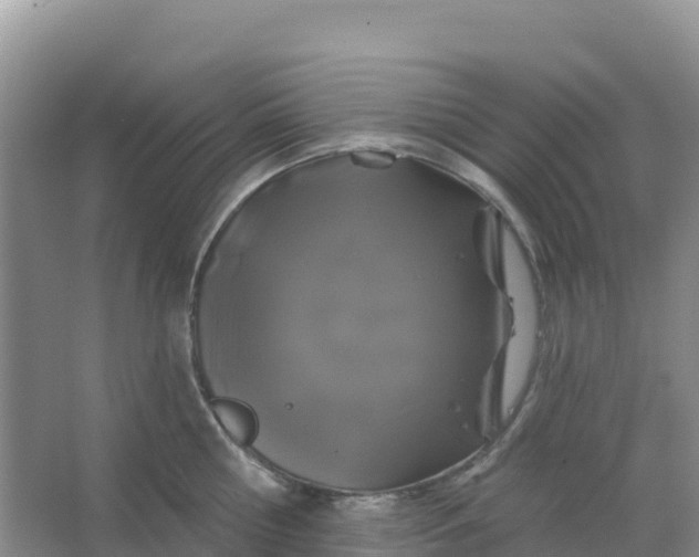 X0000066930810200604071845