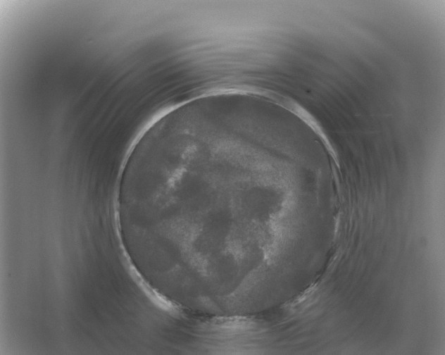 X0000066930811200604071845