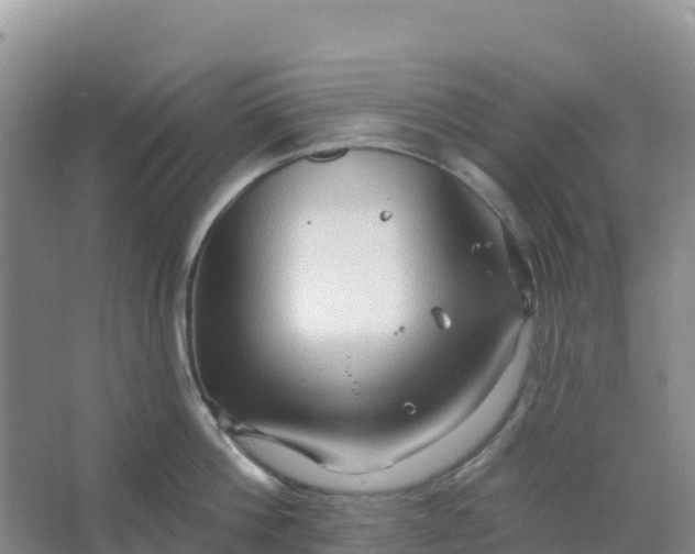 X0000066930812200604071845