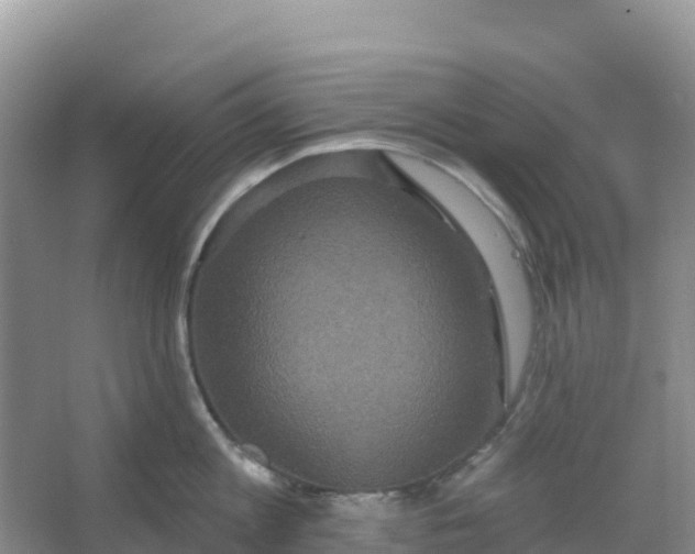 X0000066930813200604071845