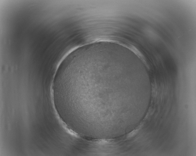 X0000066930814200604071845