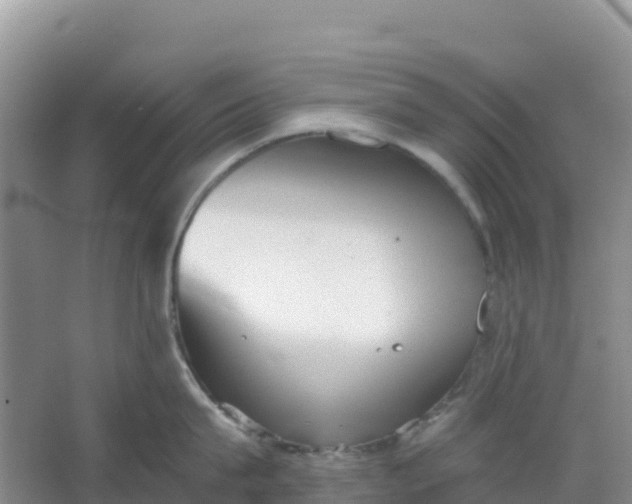 X0000066930815200604071845