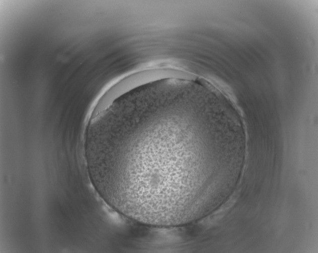 X0000066930816200604071844