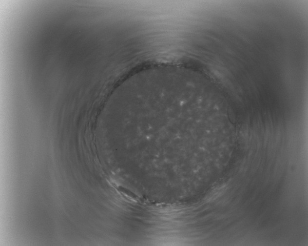 X0000066930817200604071844