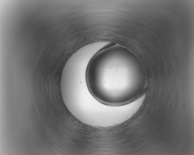 X0000066930818200604071844